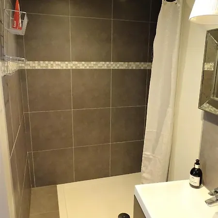 Studio Du Cygne Apartment Liege