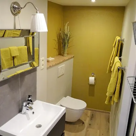 Apartment Studio Du Cygne *