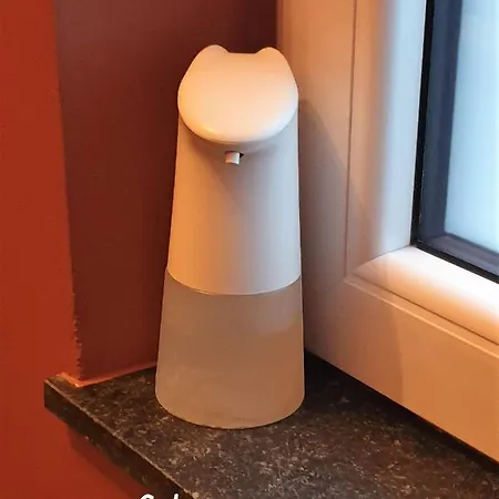 Studio Du Cygne Apartment